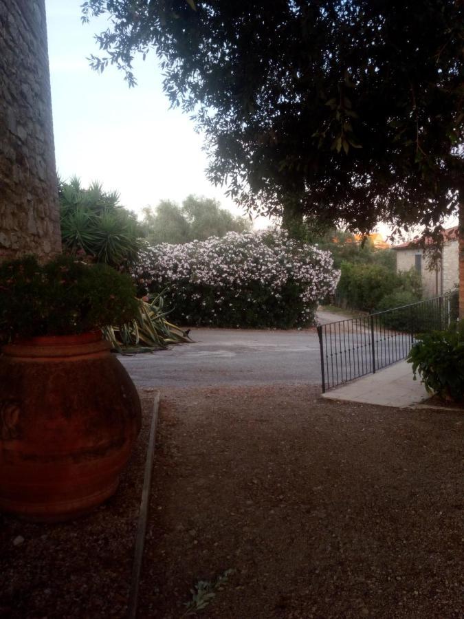 Case Cordovani Magliano in Toscana Buitenkant foto