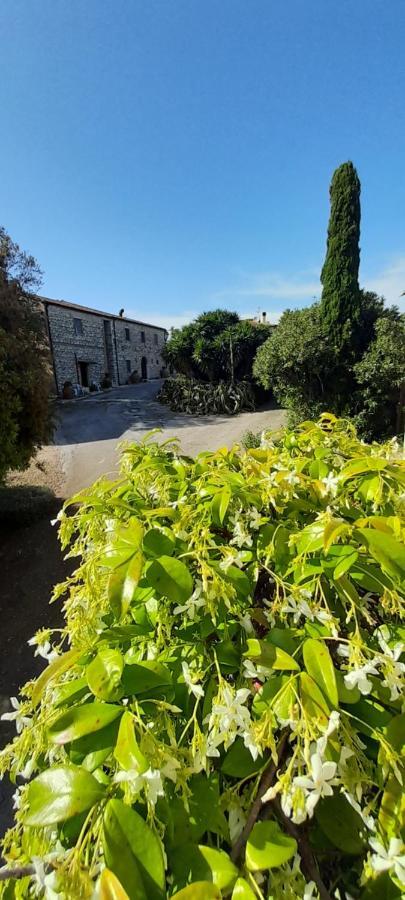 Case Cordovani Magliano in Toscana Buitenkant foto