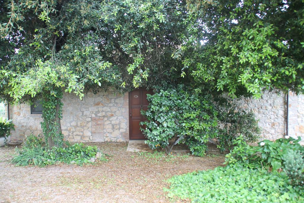Case Cordovani Magliano in Toscana Buitenkant foto