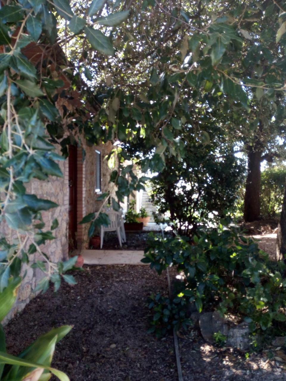 Case Cordovani Magliano in Toscana Buitenkant foto